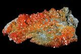 Vibrant Red Vanadinite Crystals on Matrix - Arizona #69204-1